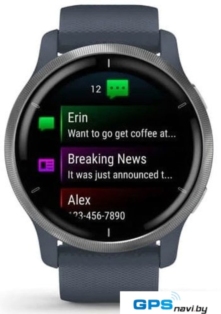 Умные часы Garmin Venu 2 (нержавеющая сталь/синий гранит)
