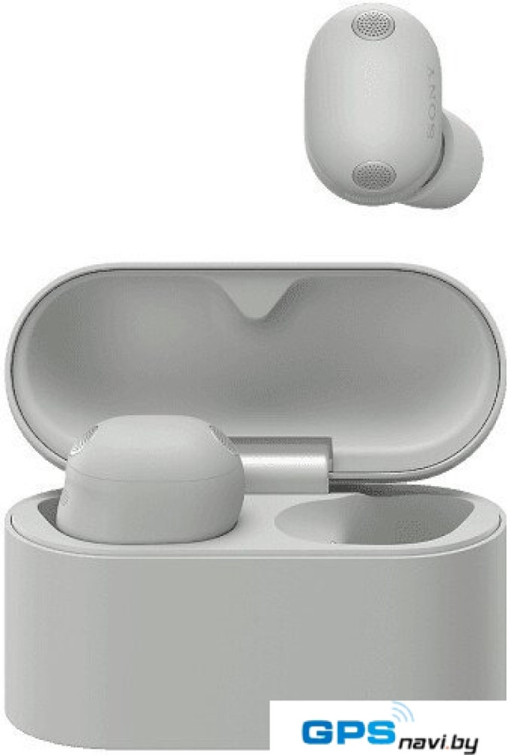 Наушники Sony WF-1000XM6 (серый)