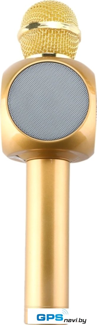 Микрофон Wster WS-1816 (золотистый)