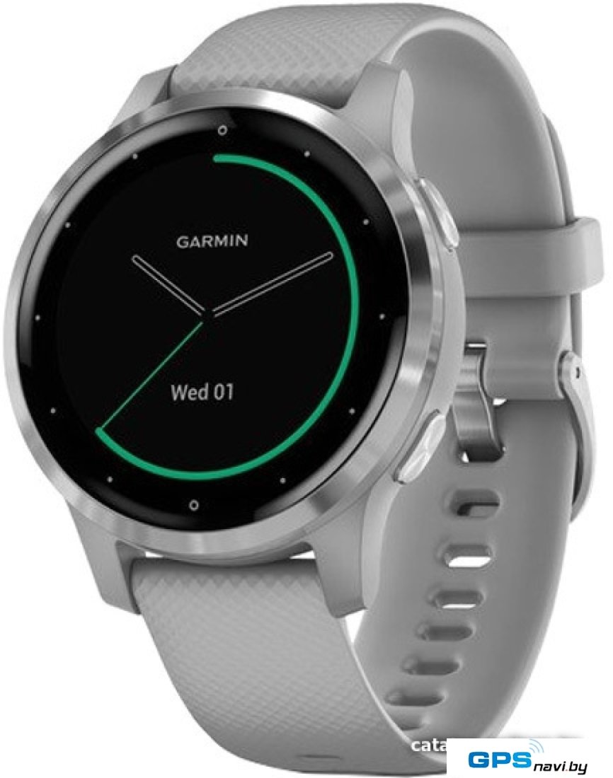 Умные часы Garmin Vivoactive 4s (серый/серебристый)