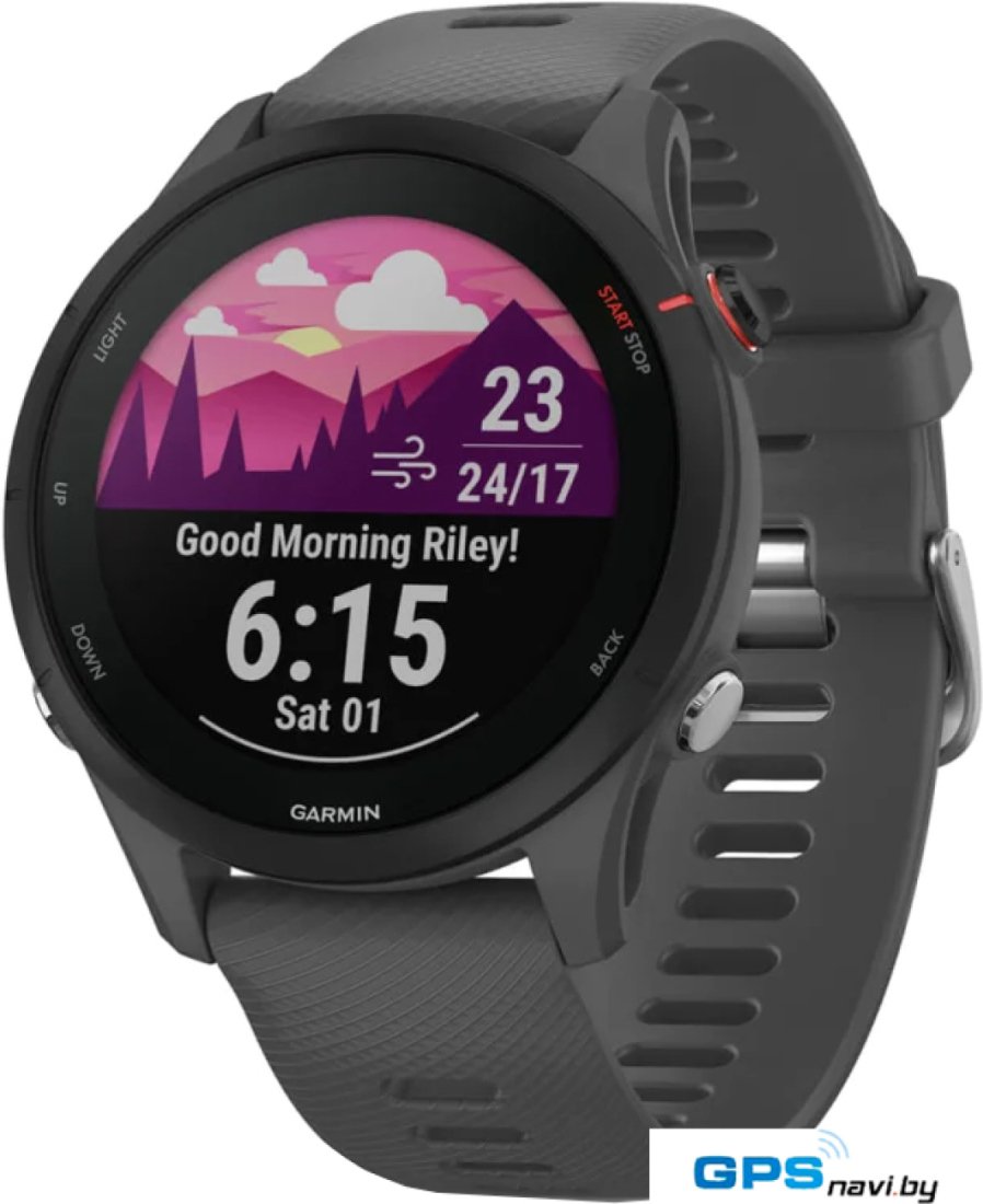 Умные часы Garmin Forerunner 255 46 мм (сланцево-серый/черный)