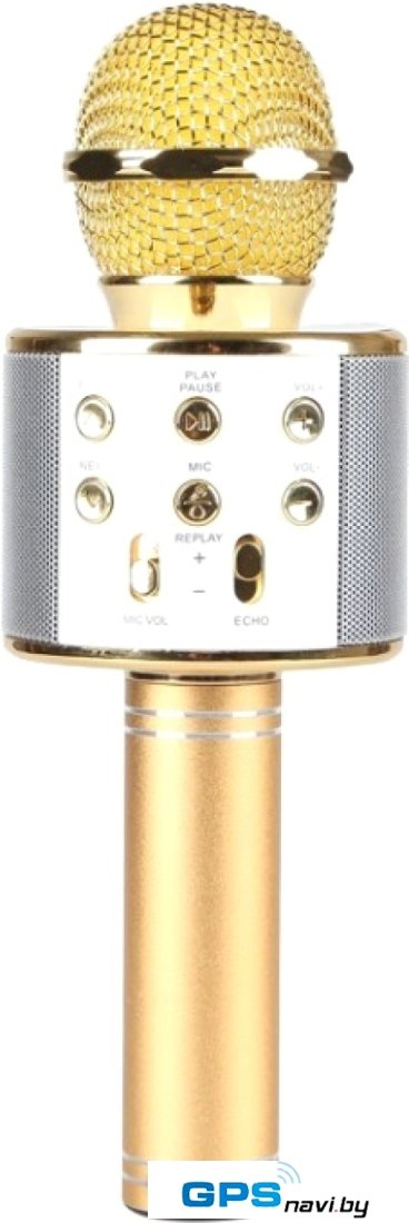 Микрофон Wise WS-858 (золотистый)
