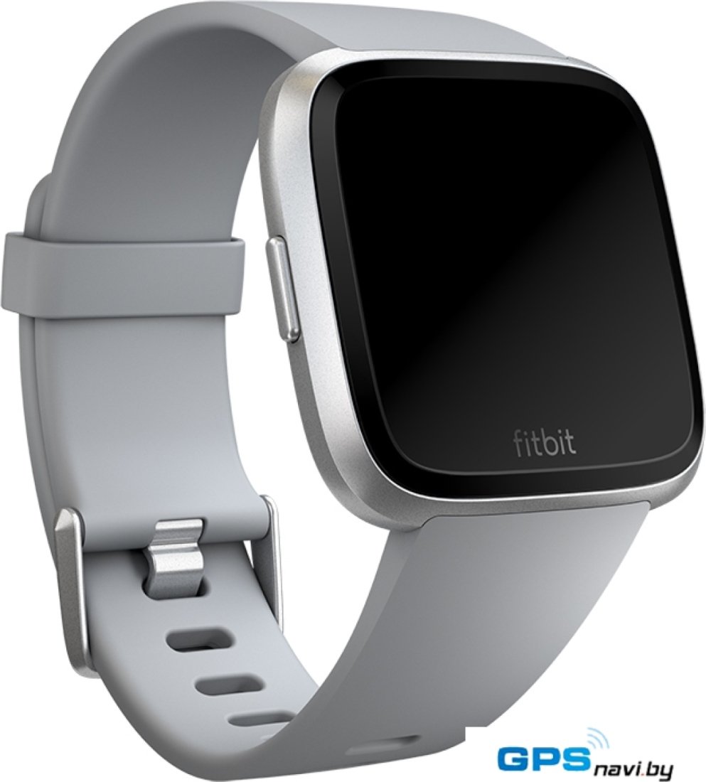 Ремешок Fitbit классический для Fitbit Versa (L, серый)