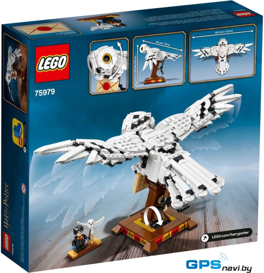 Конструктор LEGO Harry Potter 75979 Букля