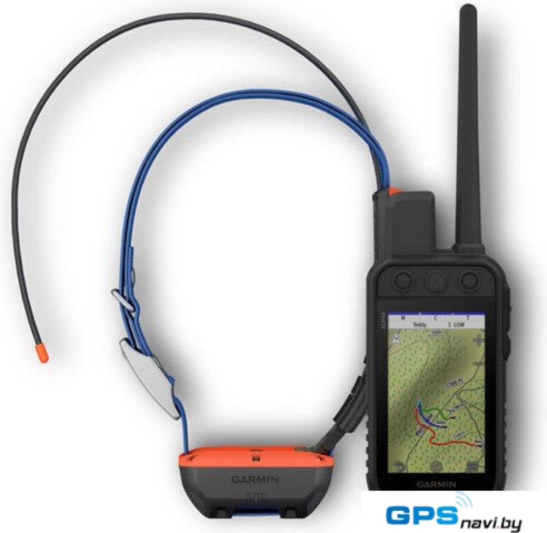 Ошейник с GPS-трекером Garmin Alpha 300i с ошейником T 20
