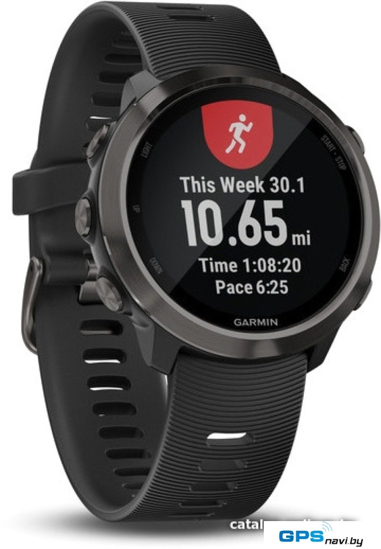 Умные часы Garmin Forerunner 645 Music (серый/черный)
