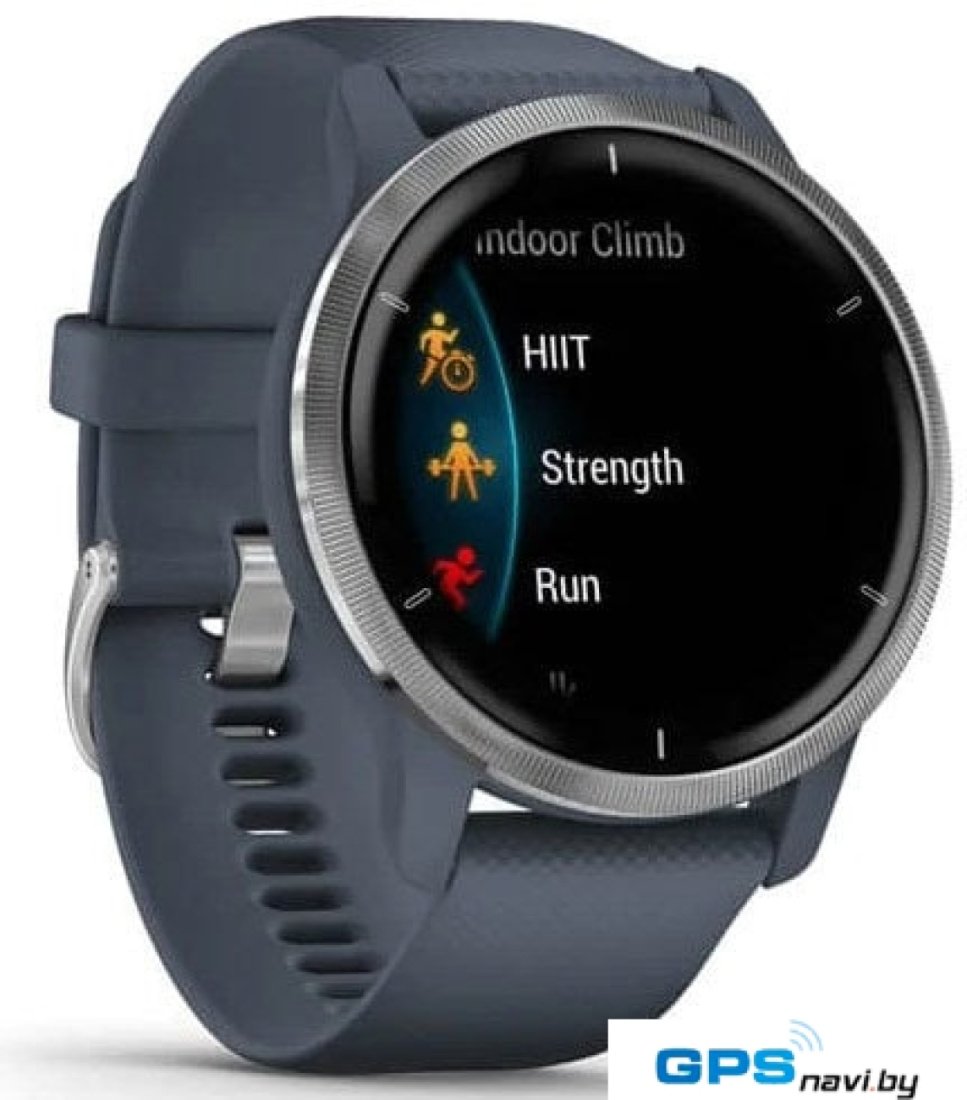 Умные часы Garmin Venu 2 (нержавеющая сталь/синий гранит)