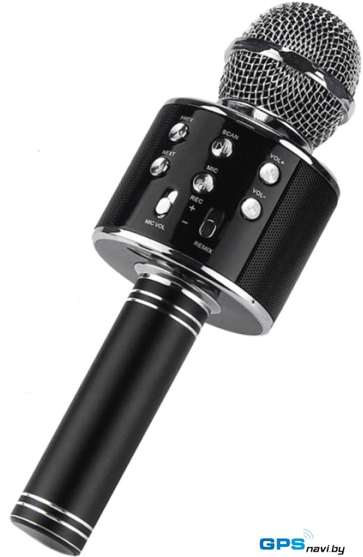 Микрофон Wise WS-858 S (черный)