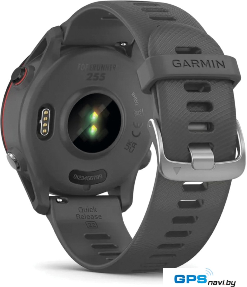 Умные часы Garmin Forerunner 255 46 мм (сланцево-серый/черный)