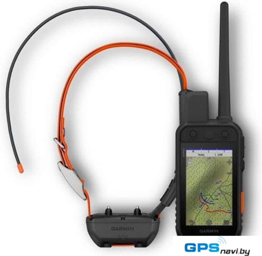 Ошейник с GPS-трекером Garmin Alpha 300i с ошейником TT25