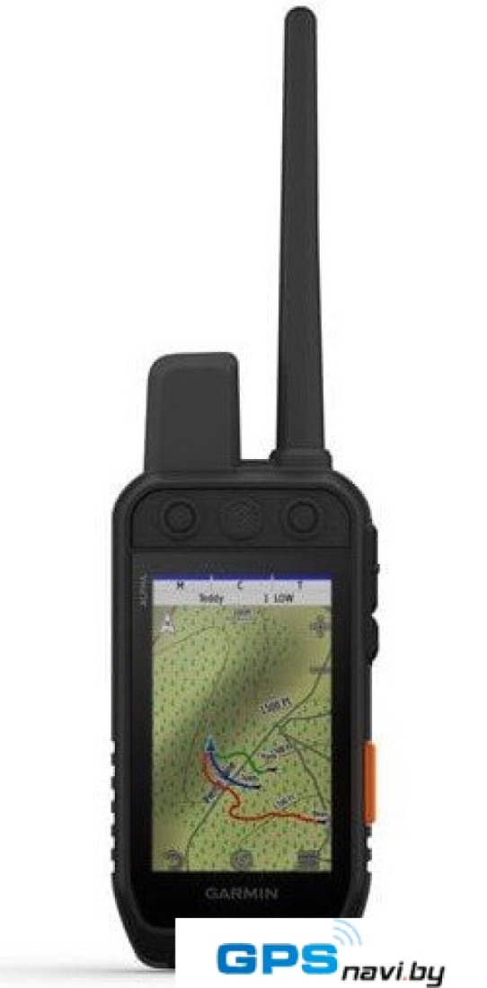Ошейник с GPS-трекером Garmin Alpha 300i с ошейником TT25