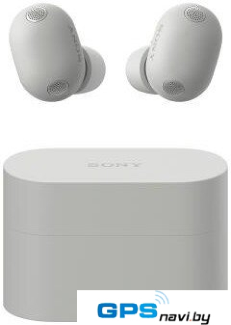 Наушники Sony WF-1000XM6 (серый)