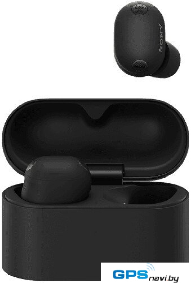 Наушники Sony WF-1000XM6 (черный)