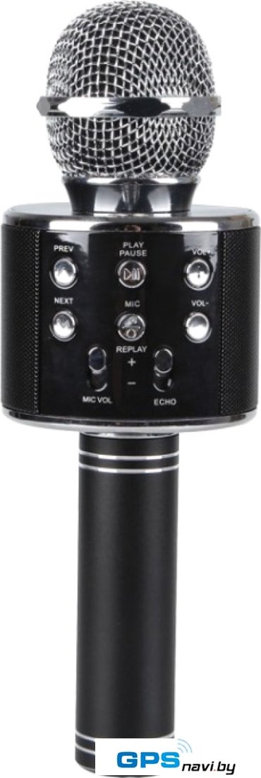 Микрофон Wise WS-858 S (черный)