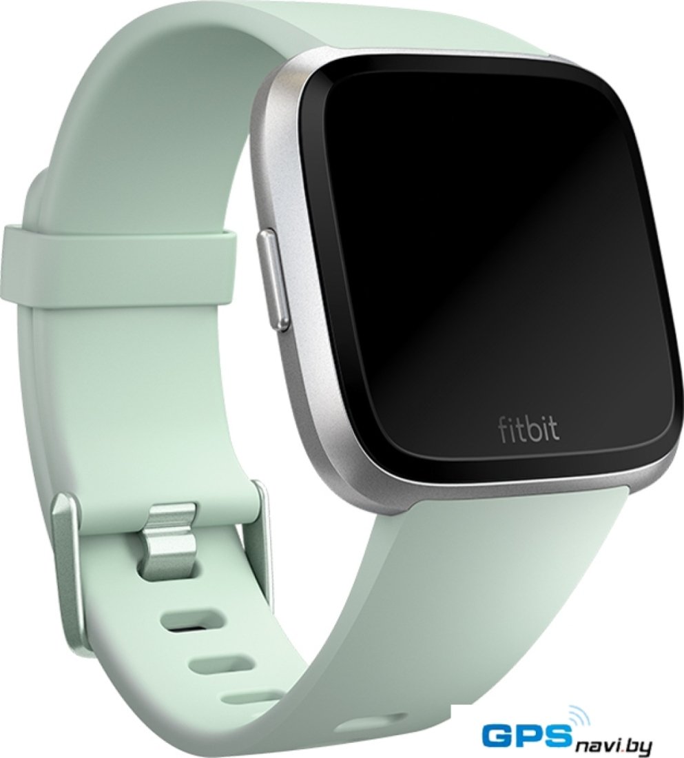 Ремешок Fitbit классический для Fitbit Versa (L, мятный)