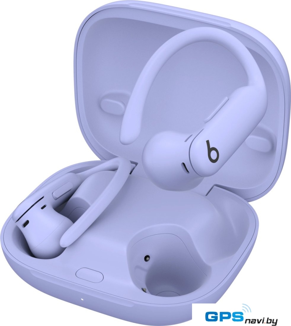 Наушники Beats Powerbeats Pro 2 (сиреневый)