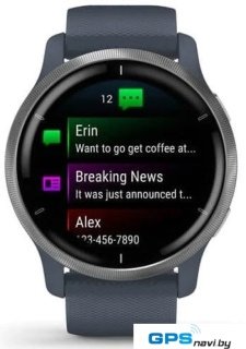 Умные часы Garmin Venu 2 (нержавеющая сталь/синий гранит)