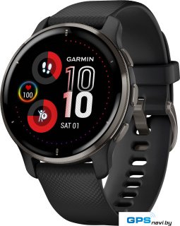 Умные часы Garmin Venu 2 Plus (черный)