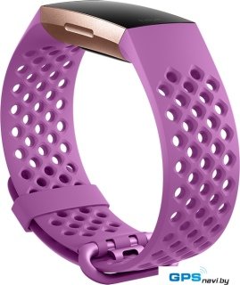 Ремешок Fitbit спортивный для Fitbit Charge 3 (L, berry)