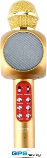 Микрофон Wster WS-1816 (золотистый)