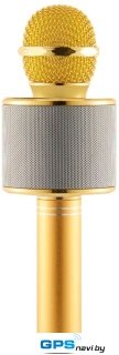 Микрофон Wise WS-858 S (золотистый)