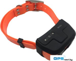 Ошейник с GPS-трекером iCar IK122 Pro (оранжевый)