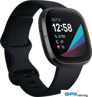 Умные часы Fitbit Sense (карбон/графитовый)