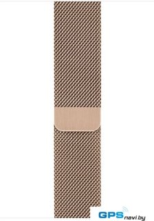 Умные часы Apple Watch Series 5 LTE 44 мм (сталь золотистый/миланский золотой)