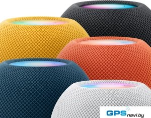 Умная колонка Apple HomePod Mini (синий)