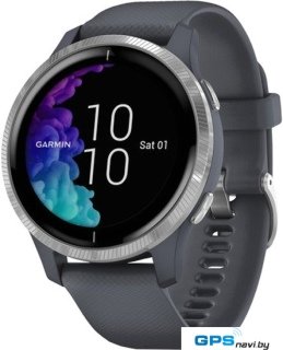 Умные часы Garmin Venu (синий гранит/серебристый)