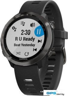 Умные часы Garmin Forerunner 645 Music (серый/черный)