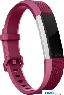 Ремешок Fitbit классический для Fitbit Alta и Alta HR (L, fuchsia)
