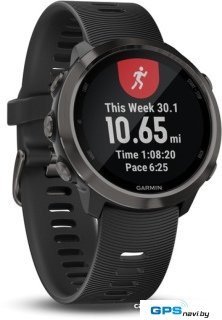 Умные часы Garmin Forerunner 645 Music (серый/черный)
