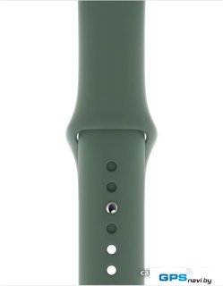 Умные часы Apple Watch Series 5 40 мм (серебристый алюминий/зеленый спортивный)