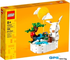 Конструктор LEGO 40643 Нефритовый кролик