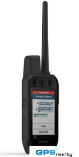 Ошейник с GPS-трекером Garmin Alpha 300i с ошейником TT25