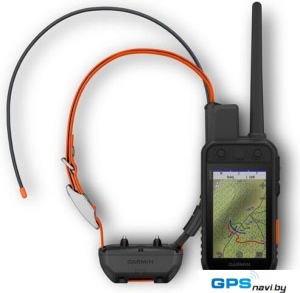 Ошейник с GPS-трекером Garmin Alpha 300i с ошейником TT25