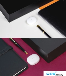 Подарочный набор Xiaomi Exclusive Gift Box RHR7398CN