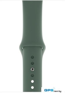 Умные часы Apple Watch Series 5 44 мм (серебристый алюминий/зеленый спортивный)