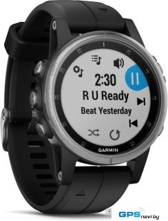 Умные часы Garmin Fenix 5S Plus (серебристый/черный)