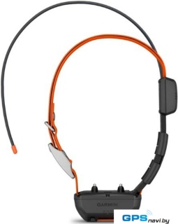Ошейник с GPS-трекером Garmin Alpha TT 25