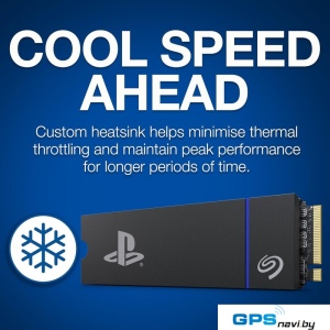 SSD Seagate Game Drive PS5 1TB ZP1000GP3A2001