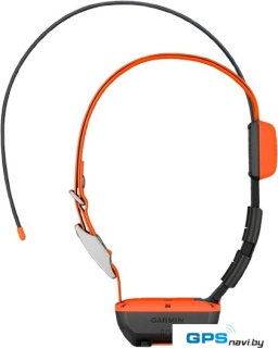 Ошейник с GPS-трекером Garmin Alpha T 20 Dog Collar