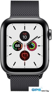 Умные часы Apple Watch Series 5 LTE 40 мм (сталь черный/миланский черный)