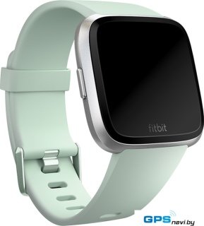 Ремешок Fitbit классический для Fitbit Versa (S, мятный)