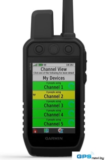 Ошейник с GPS-трекером Garmin Alpha 300i с ошейником T 20