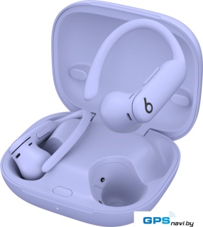 Наушники Beats Powerbeats Pro 2 (сиреневый)